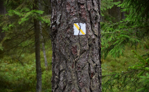 40_Drevinės bitininkystės takas (2).jpg